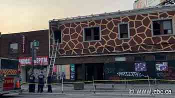 Person dead after building fire in Toronto's west end