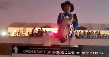 $5000 Classic horse wins another major draft