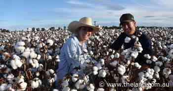 First-time tenacity rewarded