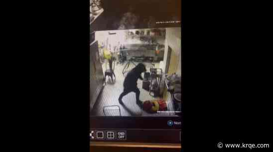 Albuquerque Police to tackle break-in, burglary cases with new team