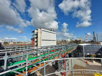 BASF erhöht Produktionskapazität für Alkoxylate in Europa