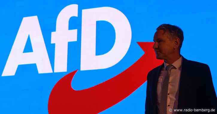 Per Kommunalwahl zur Macht? AfD will Landrat stellen