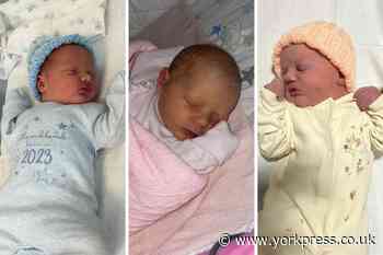 York's new babies - a big hello to the latest new arrivals