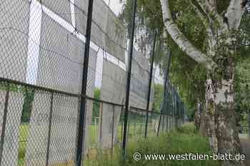 Bad Oeynhausen: Der Fußballzaun auf der Rehmer Insel wird ausgebessert