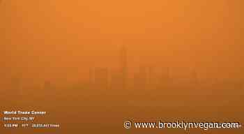 Governors Ball "closely monitoring" air quality, currently still happening as planned