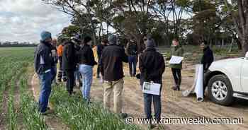 Lime has noticeable effect on soil pH, study finds