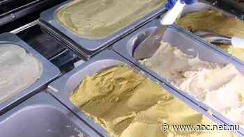 Why this company is making gelato out of cauliflower and pumpkin