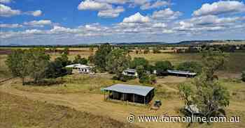 Handy Hillgrove sold under the hammer | Video