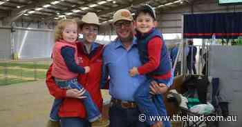 Ringside at the Dubbo National Poll Hereford Show and Sale
