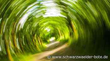 Überholvorgang missglückt: Alkoholisierter Radfahrer baut Unfall nahe Bad Wildbad