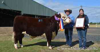 Llandillo and Valley View win grand champion sash