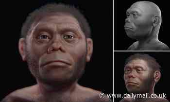 Frodo, is that you? Face of a 'real-life HOBBIT' who lived in Indonesia 60,000 years ago is revealed