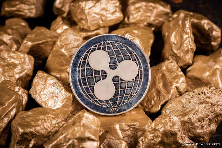 Less Than 100 XRP Needed To Become A Millionaire? New Research Suggests