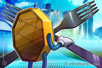 NFT platform Enjin forks Polkadot parachain Efinity to new mainnet