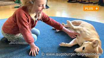 Schulhund Nika: Lernen in tierisch entspannter Atmosphäre