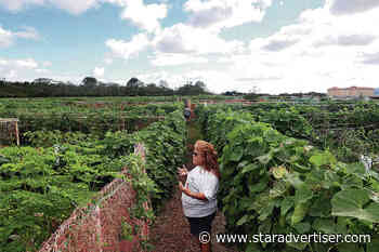 Center to support farmers in islands