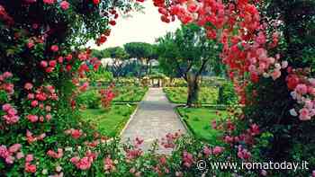 Visite da record al Roseto comunale: apertura prolungata di una settimana