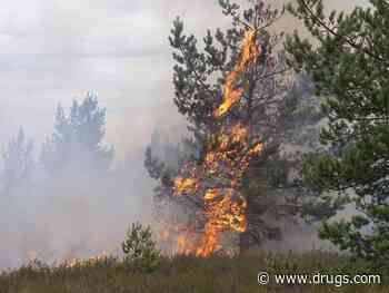 Experts Warn of Heart Dangers From Smoke of Canadian Wildfires