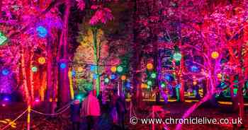 Brand new light trail announced in Leazes Park ahead of Christmas 2023
