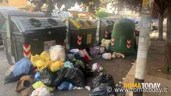 "Tir con rifiuti possono circolare anche i giorni festivi. Gualtieri chieda la deroga" 