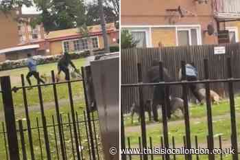 Lambeth Abbots Park: Woman attacked by three dogs