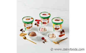 Häagen-Dazs unveils new plant-based frozen dessert