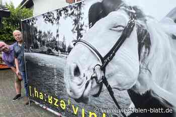 Veit Mette zeigt Fotos aus Harsewinkel im Großformat