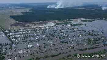 WELT-Spezial – die ukrainische Gegenoffensive zwischen Gefechten und Hochwasser