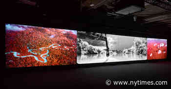 ‘Broken Spectre’: The Terrible Beauty of Richard Mosse’s Portrait of the Amazon