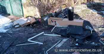 Newcastle man who claimed to be licensed for tip runs fined after dumping rubbish near homes