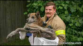 2 people displaced, dog rescued, cat missing in Virginia Beach house fire
