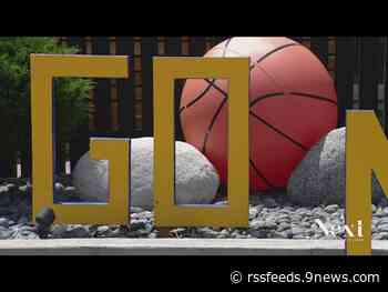 This fan thought of every detail for his Nuggets lawn display