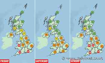 Warning to hay fever sufferers from the Met Office