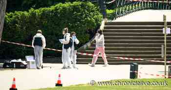 British child among those injured in knife attack at playground in French Alps