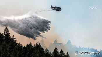 Ursachen der Waldbrände in Kanada: Erst war es bloss zu trocken – dann kamen Gewitter und Camper