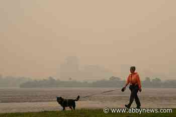 Canada marks Clean Air Day with worst air quality in the world as wildfires rage