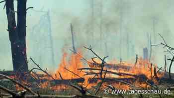 Deutscher Wetterdienst: Hohe Waldbrandgefahr in Teilen Deutschlands