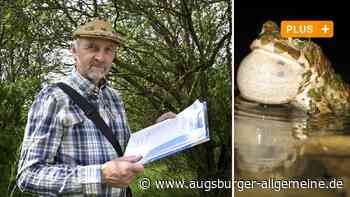 Welche Amphibien in Augsburg heimisch sind und warum sie es nicht leicht haben