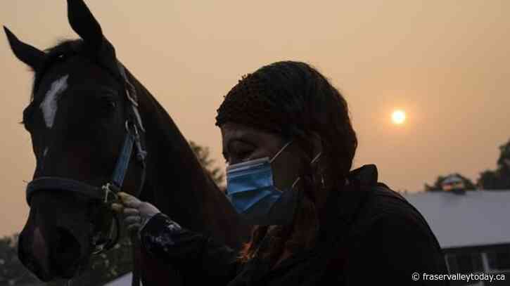Belmont cancels racing, Nationals postpone game due to poor air quality from Canada wildfires