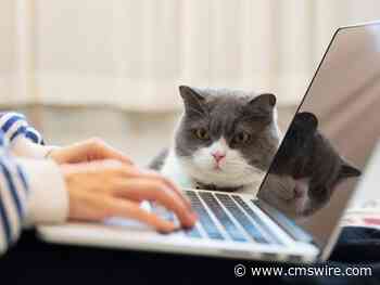 For Marketing Analytics Practitioners, Working Remotely Not About Morality