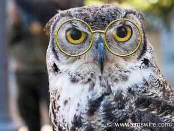 6 Expert Quotes for Transforming Email Marketing