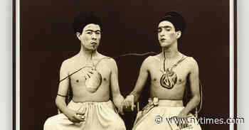 Latin American Artists Reinvent Their Histories