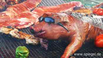 Grillen in Frankreich: Haben die Franzosen das Barbecue erfunden?