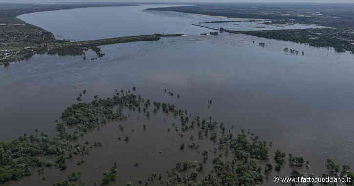 Fiammata per i prezzi di grano e avena dopo l’allagamento dei terreni ucraini. Ma nell’ultimo anno prezzi giù del 40%