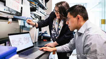 Revealing How Blood Triggers Brain Disease