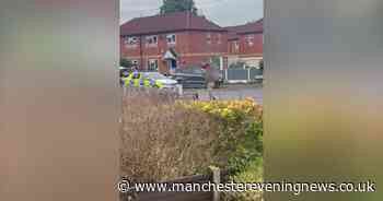 Moment bare-chested man is chased by officer with taser after 'assaulting' police