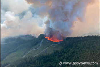 2 wildfires remain out of control north of Harrison Hot Springs