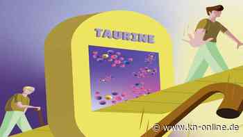 Kann die Aminosäure Taurin das Leben verlängern? Tierversuche zeigen positive Effekte