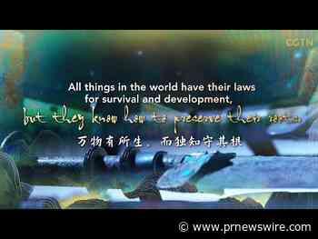 CGTN : Pourquoi la préservation de son patrimoine culturel est-elle si importante pour la Chine ?