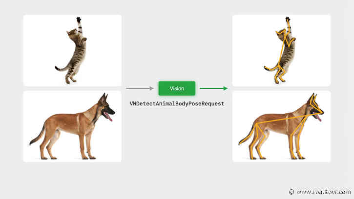 Apple’s Computer Vision Tool for Developers Now Tracks Dogs & Cats